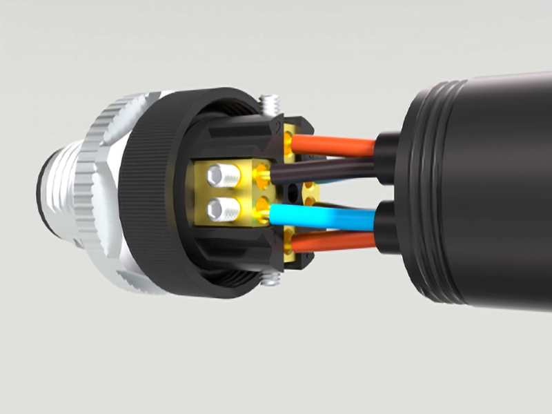 CAZN | M12 dual-input assembled connector (easily meets the needs of IO boxes for dual-wire connections)