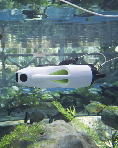 Underwater Robot Exploration